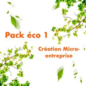 pack éco 1 création micro-entreprise