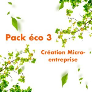 pack éco 3 création micro-entreprise