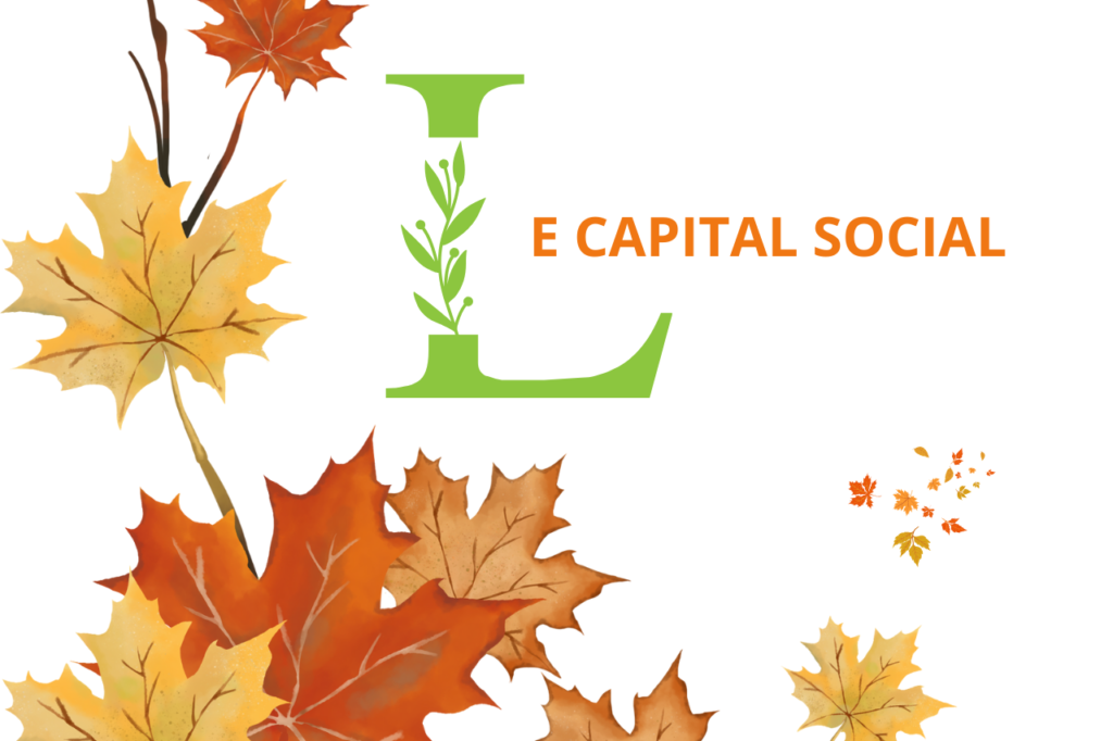 capital social