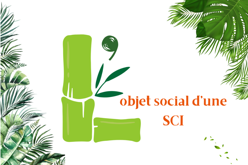 objet social d'une sci