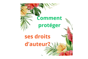 droits d'auteur