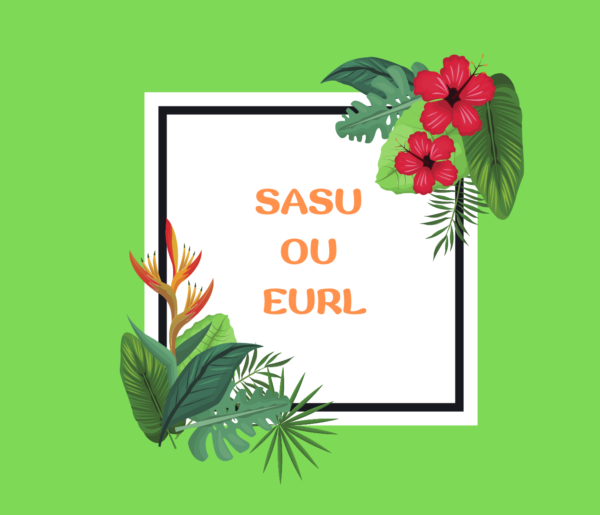 créer une SASU ou EURL